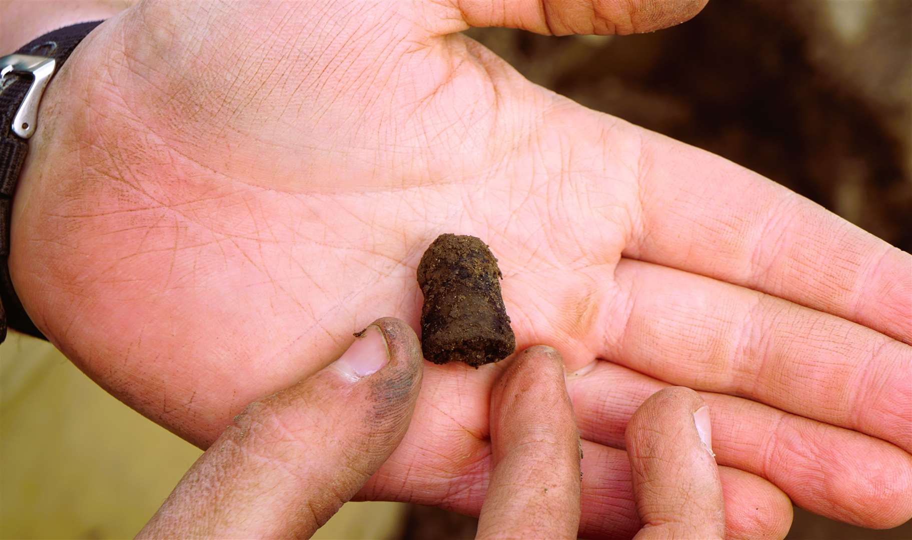 A metal thimble was discovered. Picture: DGS