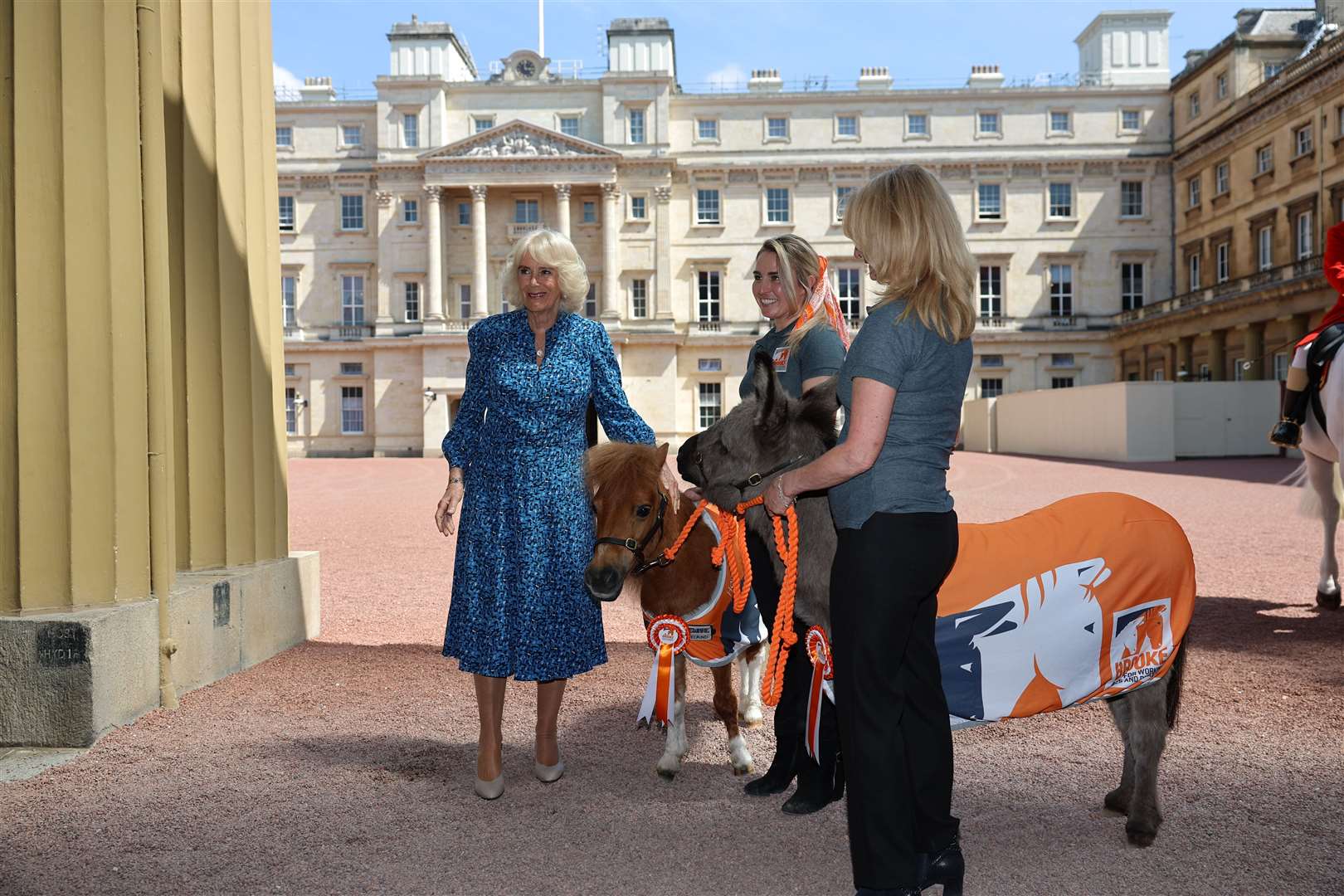 The Queen marks the 90th anniversary of Brooke, a charity dedicated to improving the lives of working horses, donkeys, and mules (Daily Telegraph/Geoff Pugh/PA)