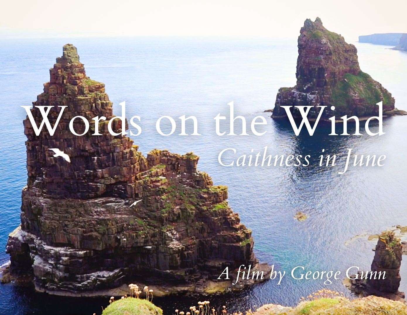 Words on the Wind: A film by George Gunn.