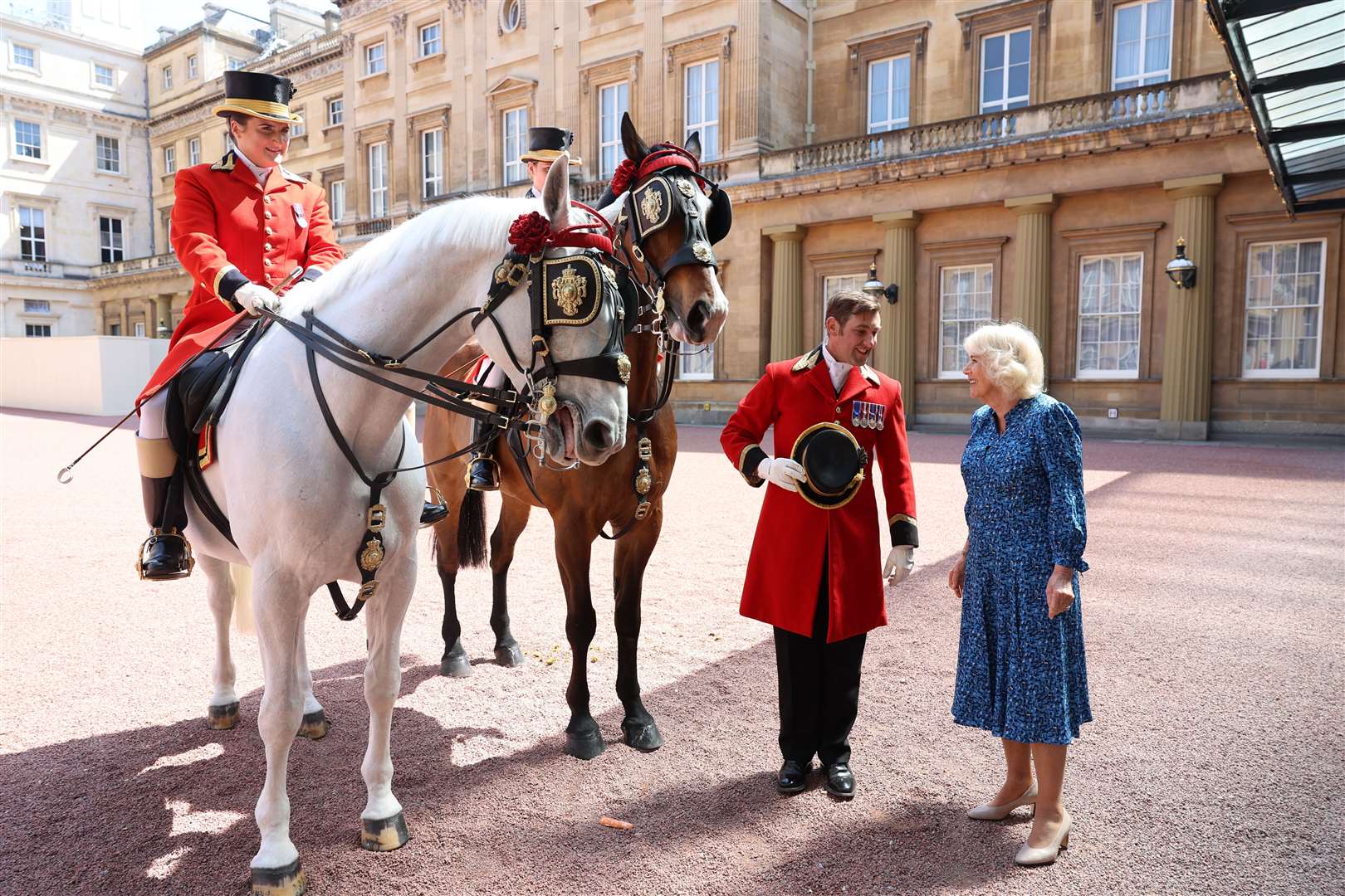The Queen met and fed horses ahead of the reception (Geoff Pugh/Daily Telegraph/PA)