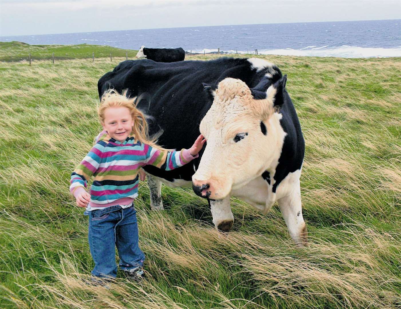 Hillhead P2 pupil Ellie Thain on her family’s farm at Staxigoe. The photo was among those showcased in the school's exhibition, At Home, at the St Fergus Gallery in January 2009.
