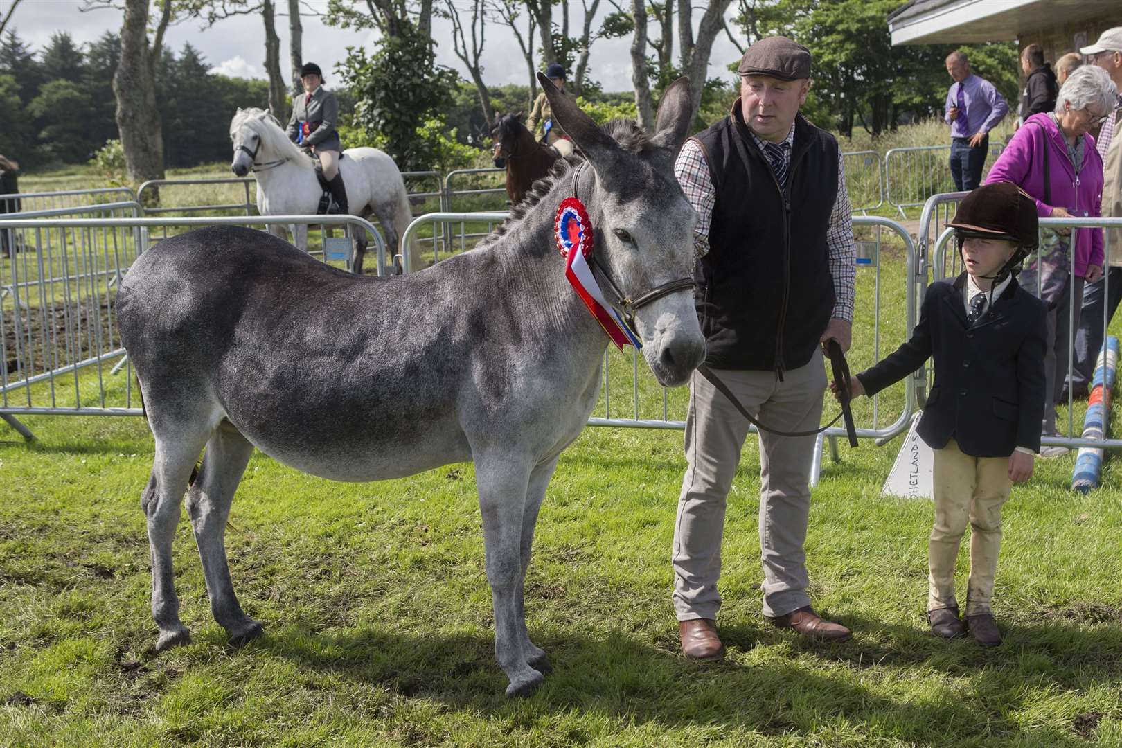 Robert Streight and his daughter Rosie with the champion donkey, 15-year-old Patrick. Picture: Robert MacDonald / Northern Studios