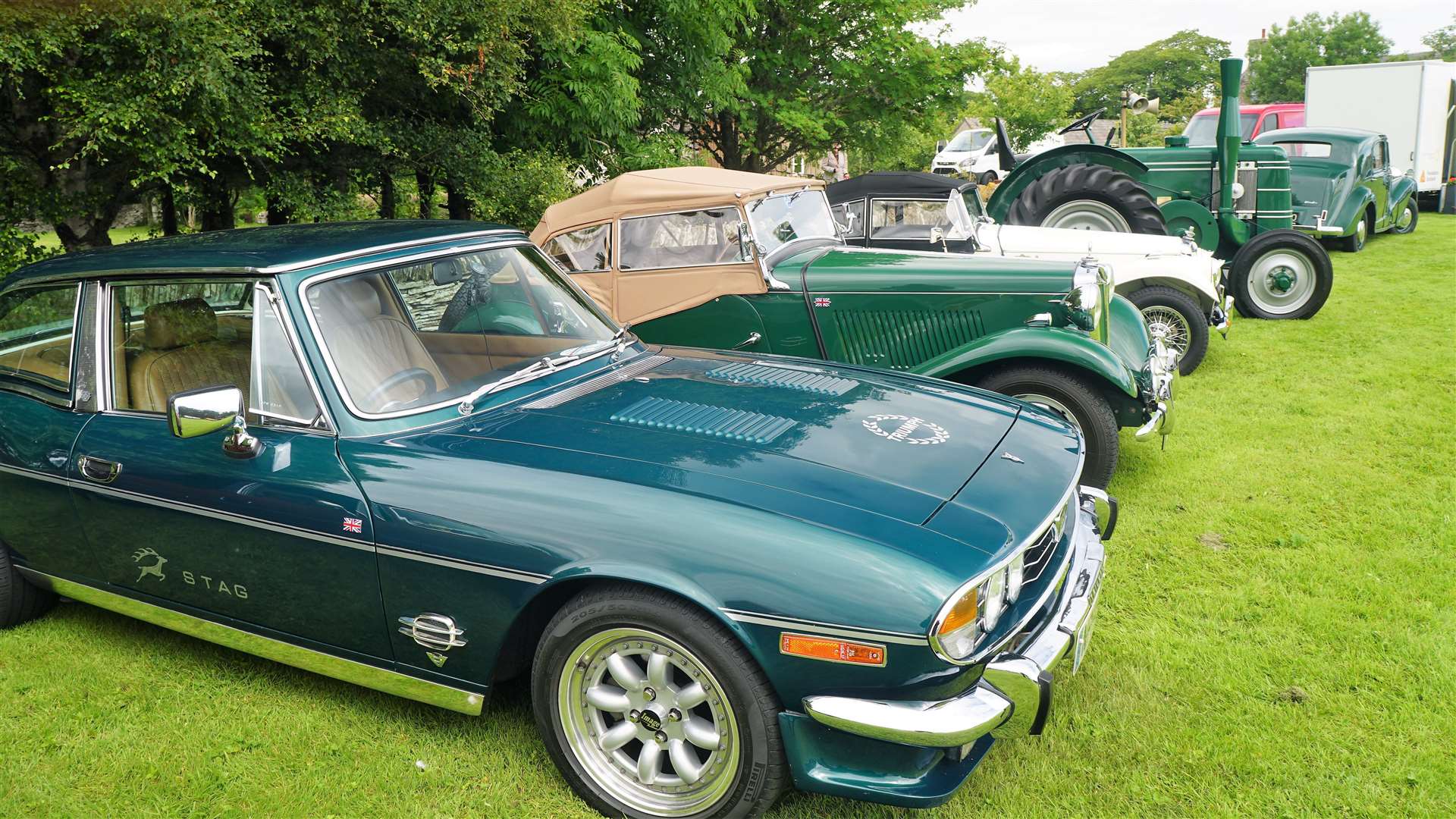 A few of the classic cars on show at the event. Picture: DGS