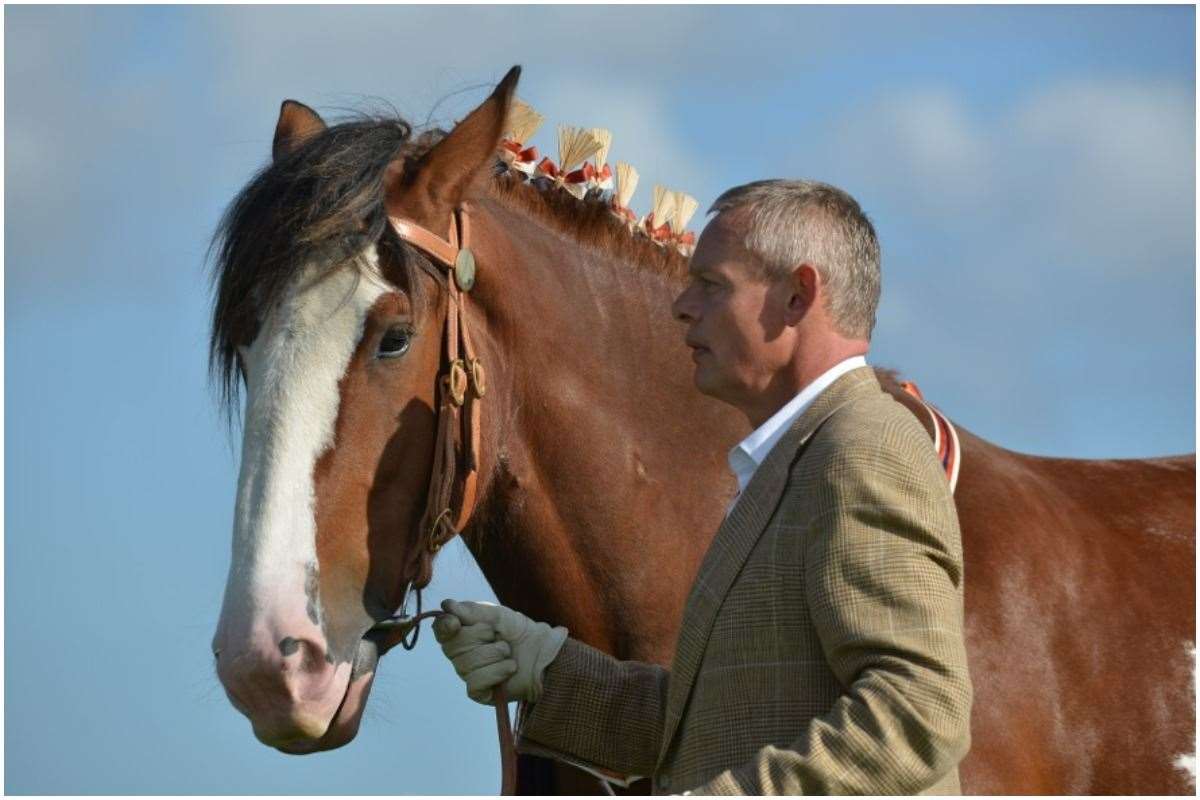 Martin Clunes is president of the British Horse Society (World Clydesdale Show/PA)