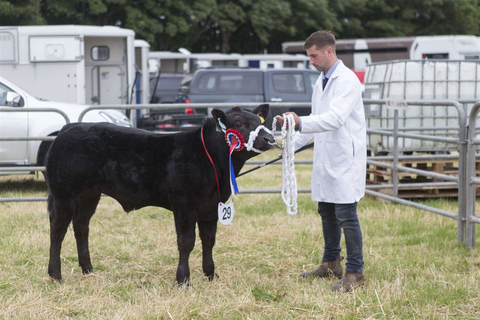 Kris Sutherland with the reserve supreme cattle champion, reserve commercial champion and overall male champion, a March-born cross steer calf by a British Blue bull from Dunbeath Farms. Picture: Robert MacDonald / Northern Studios