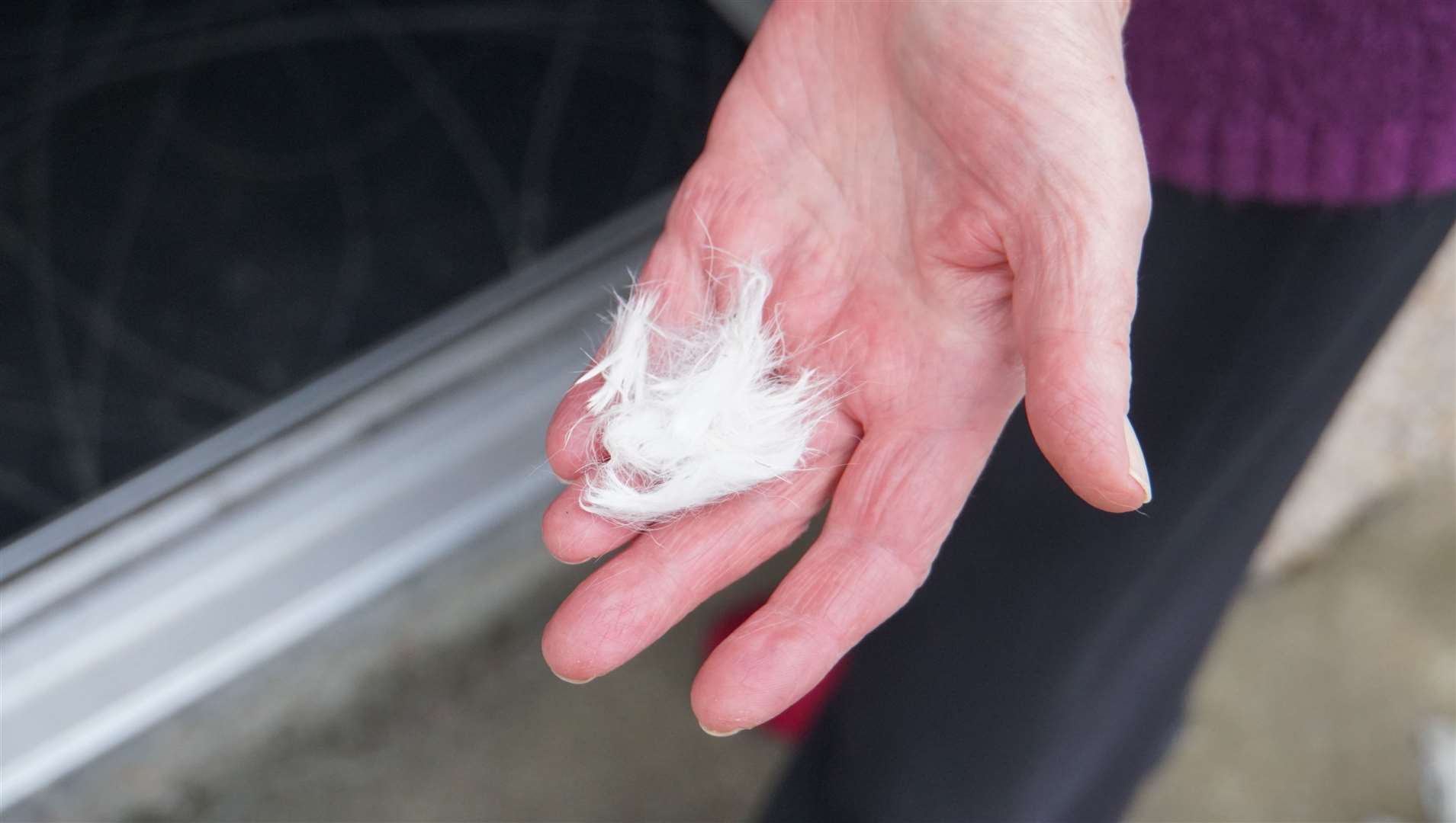 Cecilia Robertson shows fur left behind after her cat Scraich was killed. It was lying in her garden a week after the violent attack and death of her cat.