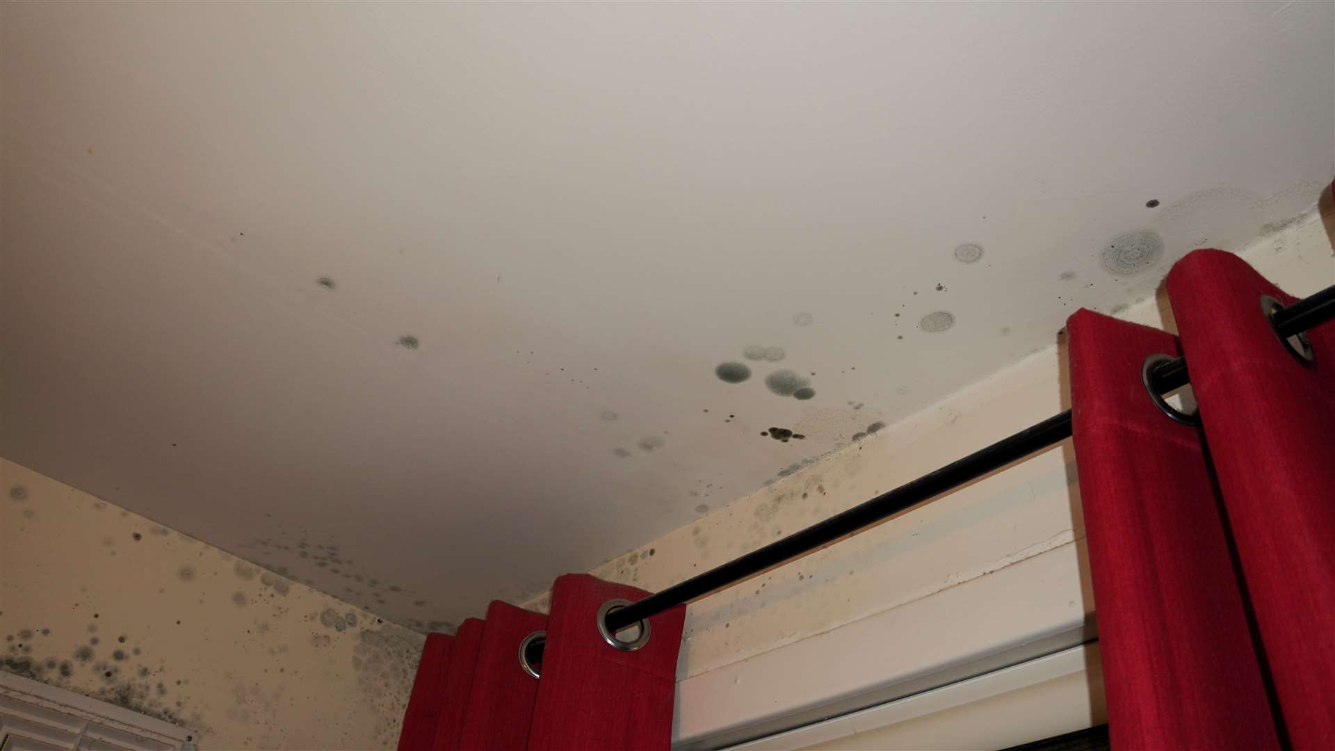 The mould is on the curtains and on the ceiling above. Picture: DGS