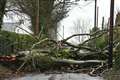 Winds top 100mph as Storm Eowyn causes travel disruption and power cuts
