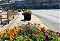Photo competition brings a £300 boost for Wick Flowers