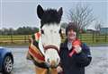 Dressage keenly contested at Halkirk