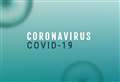A dozen new coronavirus cases reported