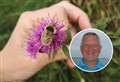 Chance to learn about busy bees with Caithness countryside ranger