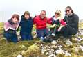 Mini dog leads charity team up Scaraben