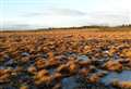 More businesses urged to help with £66m peatland restoration contract