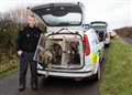 Body found in field at Thurso East