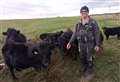Pedigree Dexter cattle enter AI breeding programme at Bruan Park croft