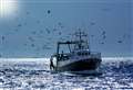 Marine strategy sets out sea vision