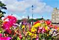 Entries open to celebrate community heroes making Caithness 'blooming beautiful'