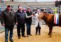 Ten exhibitors to take part in Quoybrae overwintering competition