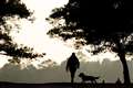 Pet abduction to be made criminal offence in bid to crack down on thieves