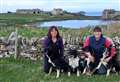 Sheepdog trials to return to Caithness after 14-month absence 