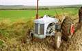 Vintage Ferguson tractor. Picture: DGS