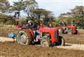 West Greenland is venue for vintage tractor club ploughing match