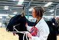 Blingery farm breeder breaks record at Oban cattle sale