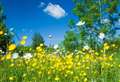 Highland Council launches consultation on ecology strategy and action plan
