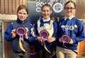Caithness mini and junior teams in Horse and Pony Care competition