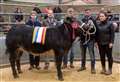 Hannah takes Young Farmers’ overwintered championship