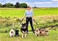Natalie on day six of walk with dogs Princess Tia, Louis Vuitton, Lassie, Gizmo, Benjamin Buttons and Marty.