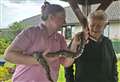 Thurso care home becomes animal farm during visit