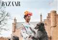 PICTURES: Glamis Road dogs make cover of Harper’s Bazaar accompanied by supermodel