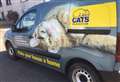 Cat Protection charity calls for new feline foster carers after news of SSPCA rescue home closure