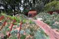 Gardening with a more ‘natural’ feel takes centre stage at Chelsea Flower Show