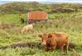 Livestock health planning event for crofters to take place in Wick