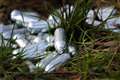 Government seeks advice on making laughing gas possession a crime