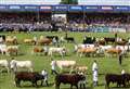 Royal Highland Show sells out for Friday and Saturday