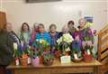 Blooming marvellous bulb show for Caithness WI