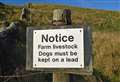 Police warn dog owners over sheep worrying