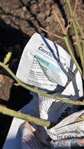Old copies of the Groat are perfect for protecting the roots from frost. Picture: DGS