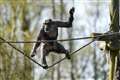 Safari Park welcomes first chimpanzee in eight years