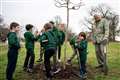 Sir David Attenborough plants tree to open woodland in honour of late Queen