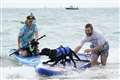 Pups and their owners hit the waves at annual Dog Surfing Championships