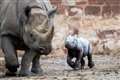 UK zoo celebrates birth of critically endangered eastern black rhino