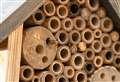 Caithness householders urged to make a bee hotel or insect house to help vital pollinators