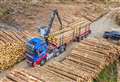Timber transport projects in rural areas can apply for Scottish Forestry fund