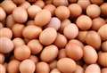 Latheron SWI: Egg farmer gives a cracking talk