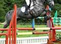 Achalone showjumping results